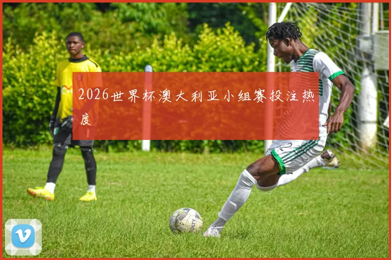 2026世界杯澳大利亚小组赛投注热度